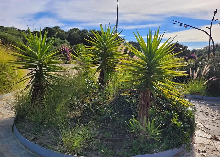 Casa Aromatico Nat Costa Blanca 托雷维耶哈